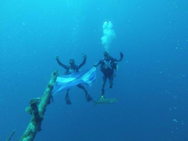 plongée à Tenerife 